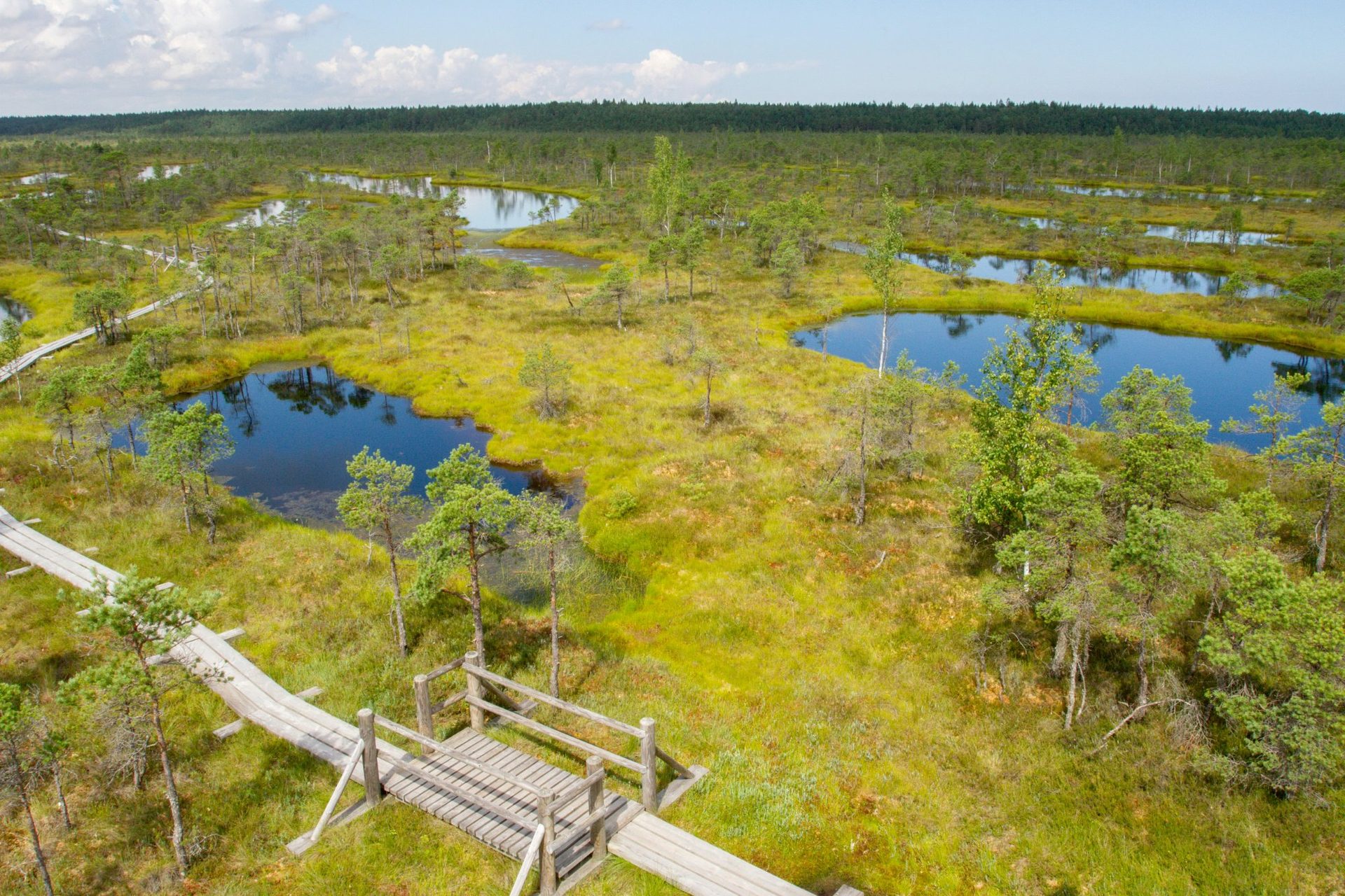 Wooden boardwalk skirting a still pond in the Ķemeri raised bog