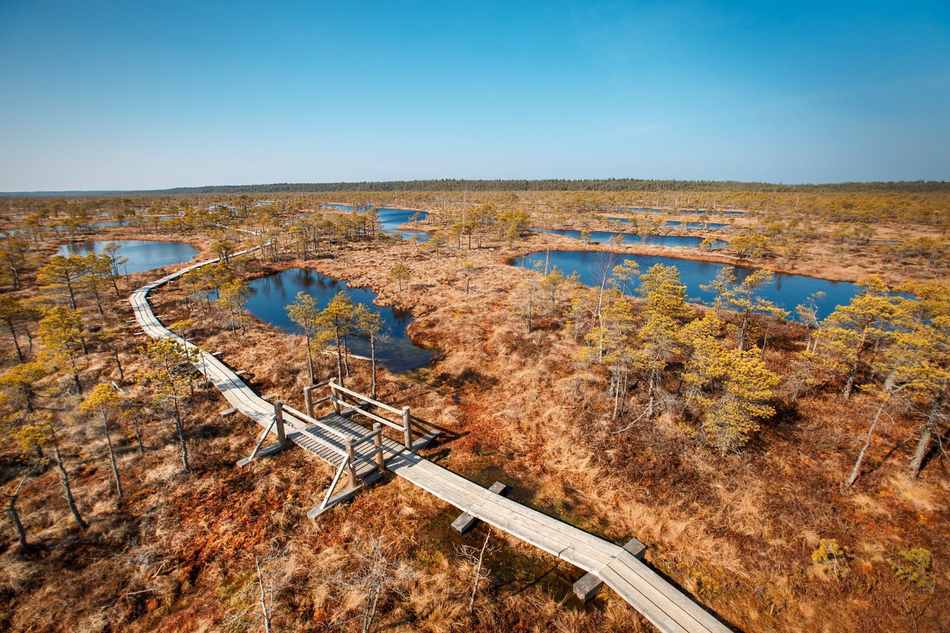 Aerial view of the Great Ķemeri Bog boardwalk winding past mirror-dark pools, Ķemeri National Park, Latvia