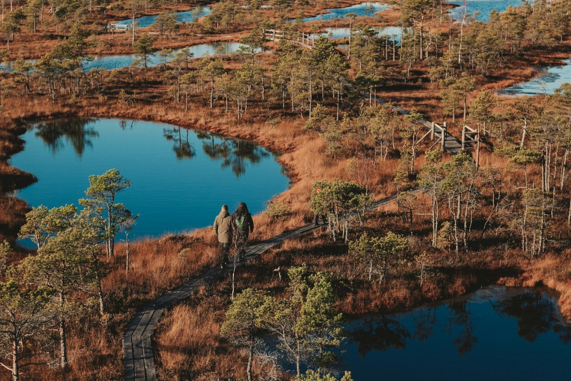 Two walkers on the Ķemeri bog boardwalk in summer light, surrounded by raised bog pools and dwarf pines