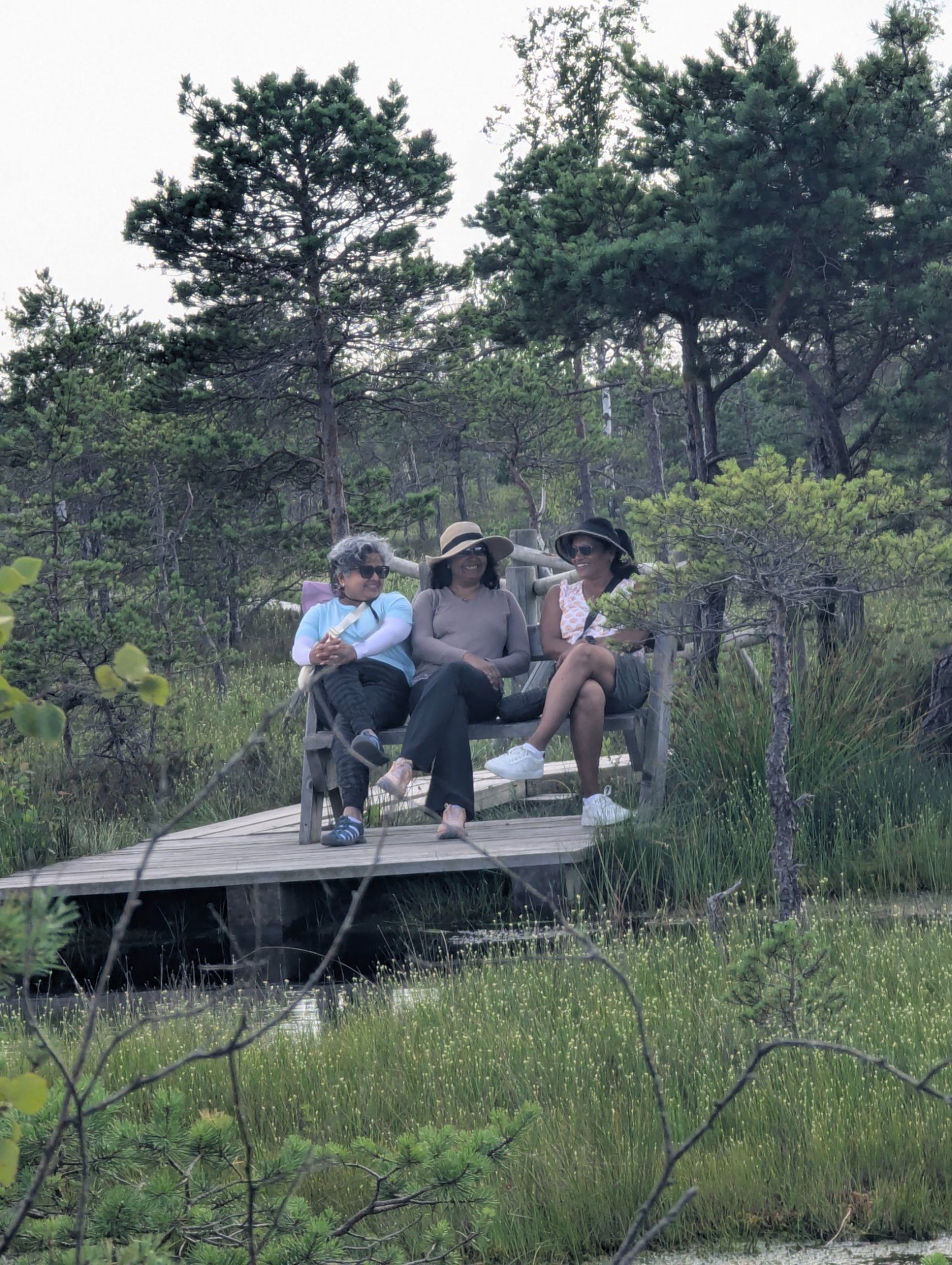 Three friends sitting on a wooden bench overlooking the Ķemeri raised bog