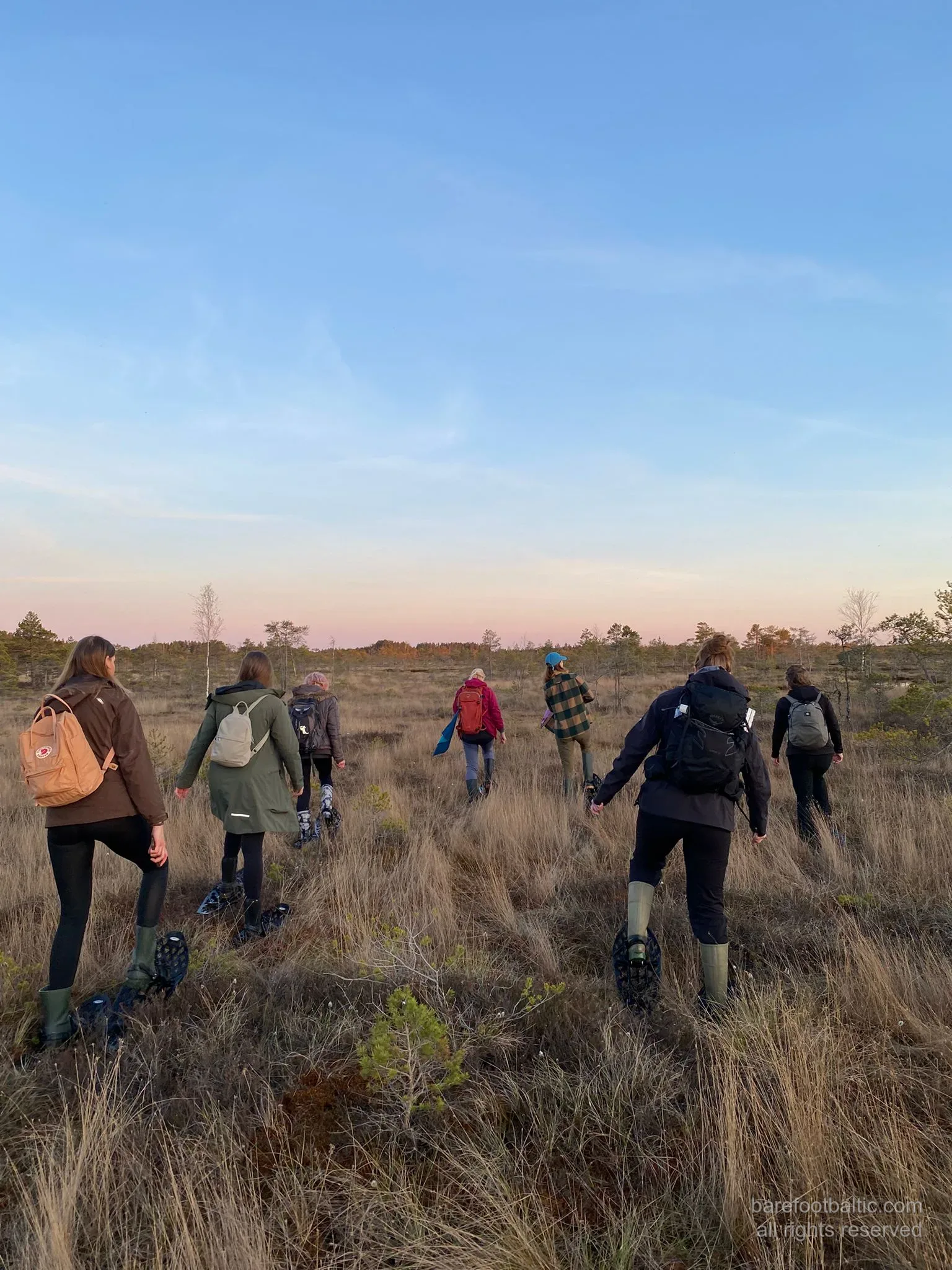 Single file across the open bog at golden hour
