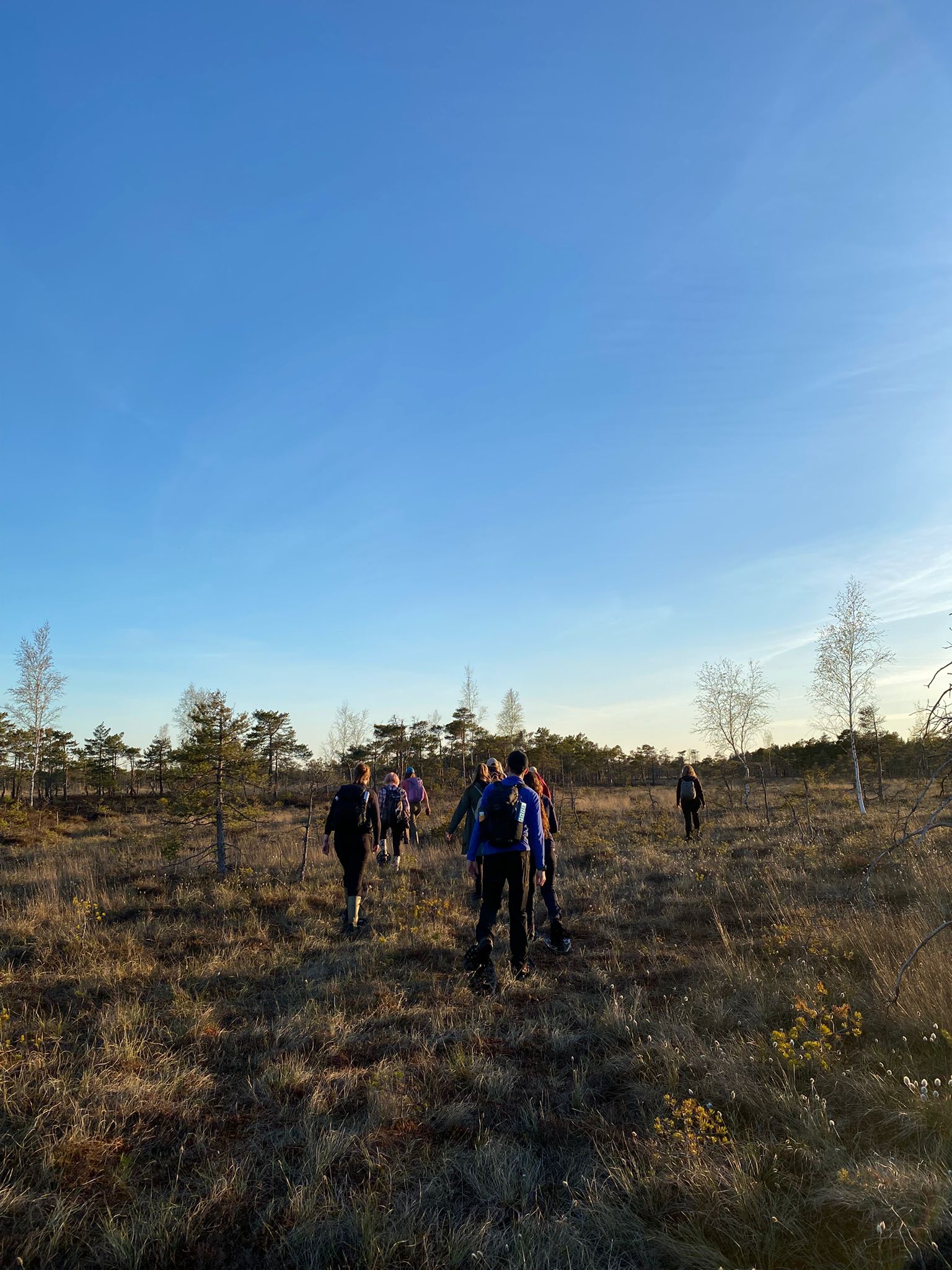 Three guests striding across the open raised bog in bog shoes