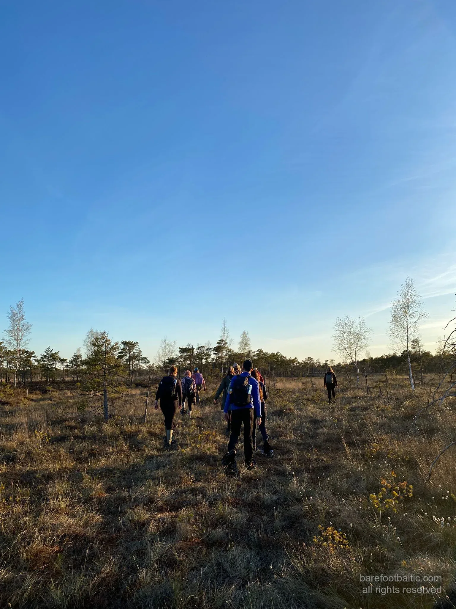 Three guests striding across the open raised bog in bog shoes