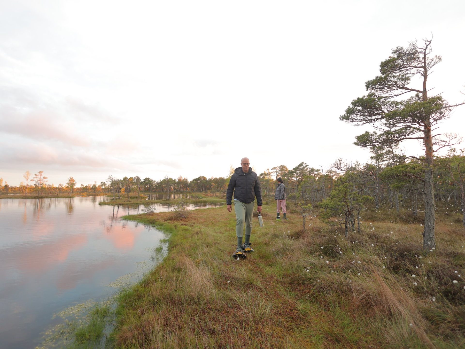 Pink clouds reflected in the dark waters of the Ķemeri raised bog at golden hour