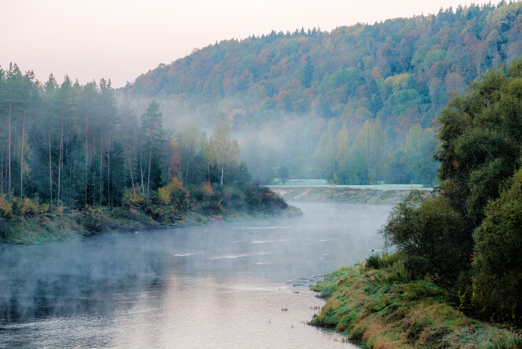 The Gauja river at dawn with morning mist rising through the autumn forest