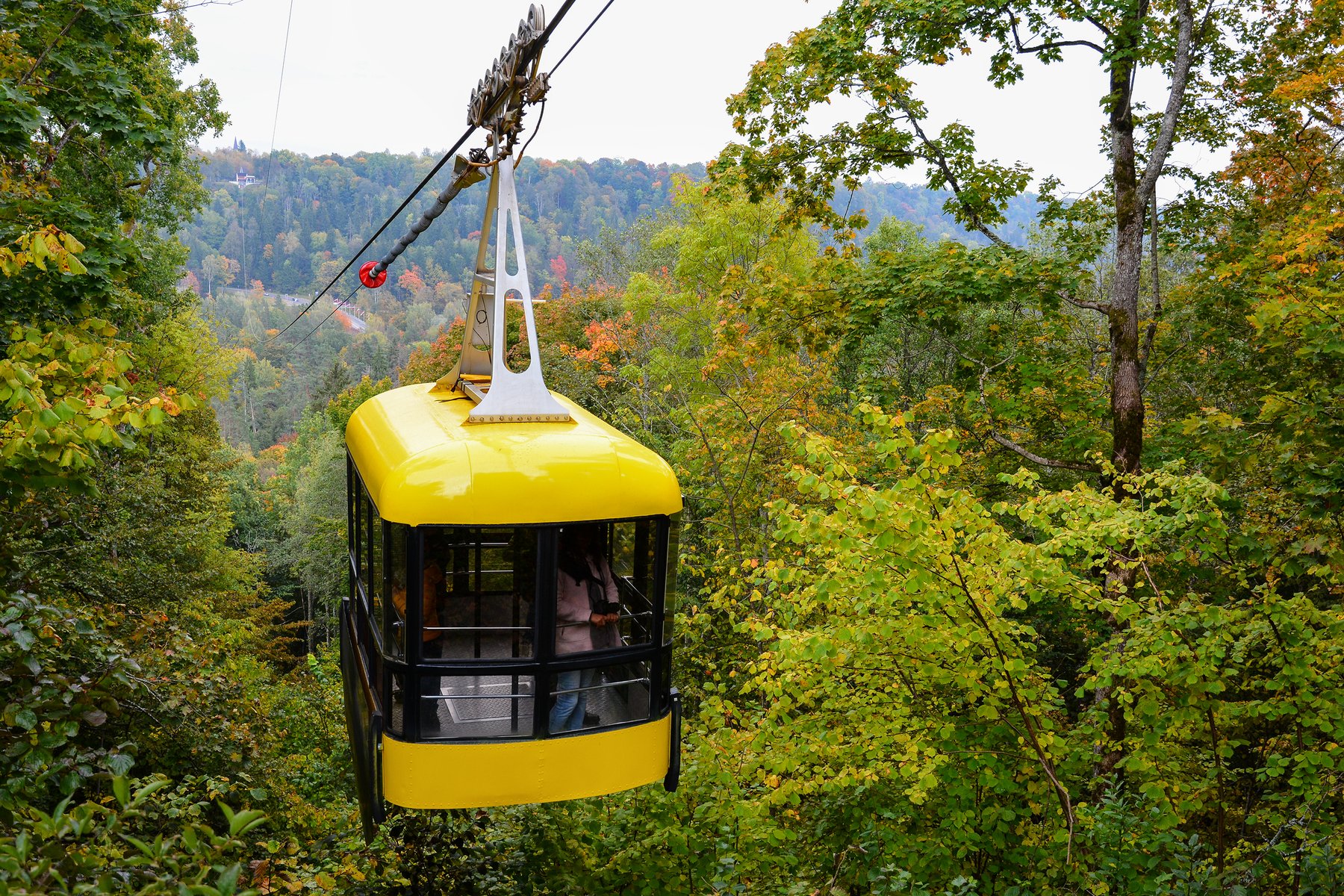 The yellow Sigulda cable car crossing the Gauja valley cliffs